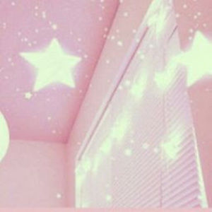 Meet your Posher, Bella